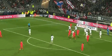 主场瞄准4连胜！阿德莱德主帅：全力争胜，全员健康迎战狮吼