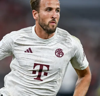 争对手也不 争对手也不